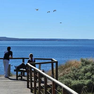 foto-madryn-004
