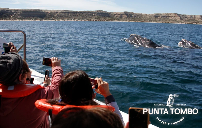 punta-tombo-fasen-03
